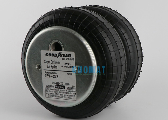 Goodyear 2B9-273 sospensioni pneumatiche con bulloni metrici e presa d'aria G 1/4
